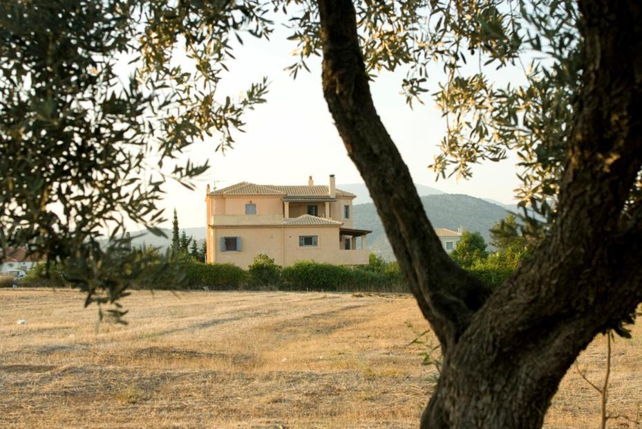 Daphne Villa Ermioni Exterior photo